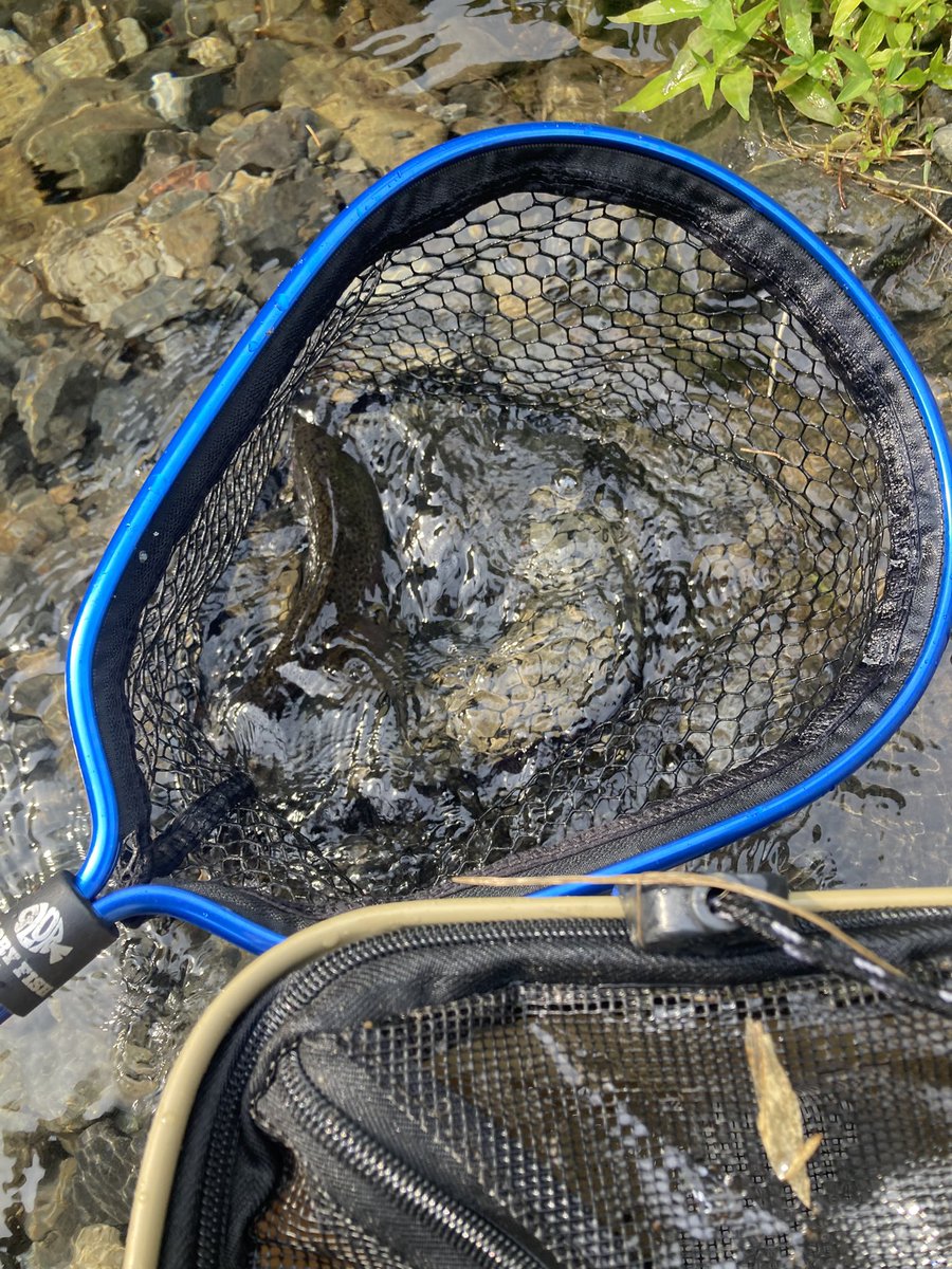 watarutoshizen's tweet photo. 久しぶりにプール🏊じゃあないところで釣りをしました。夏☀️は、涼しく釣り🎣 https://t.co/aQnrRN7PHO