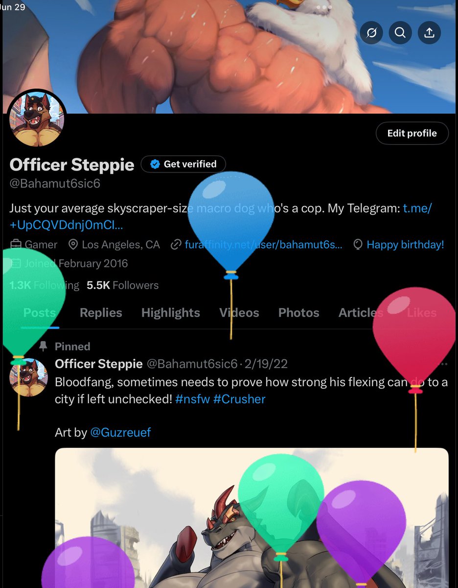 Officer Steppie tweet media