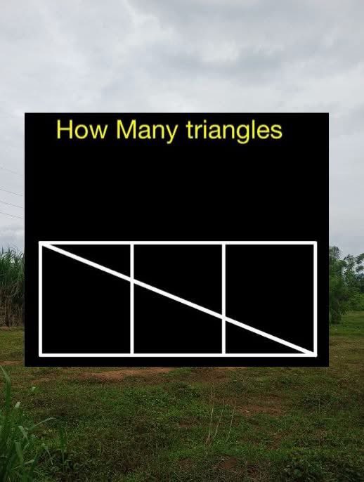 Thrilla the Gorilla tweet media