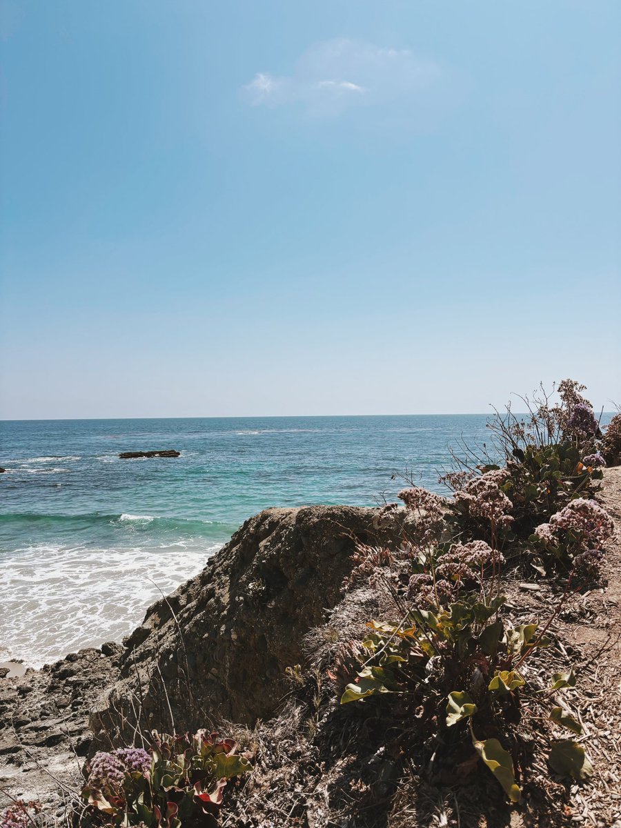 countbussy's tweet photo. I went to CA for 3 days and had the best time everrrrrrrrr 🫶🏻 look at these sick photos i got !! https://t.co/t9IU0wmaWJ