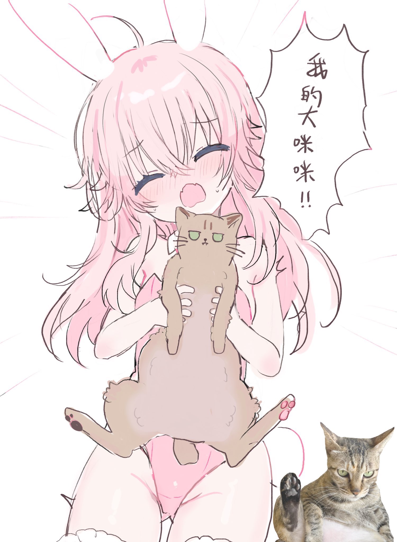 鬼针草 (@szcb911) / X