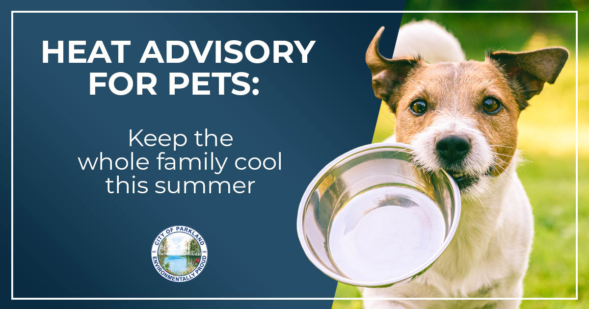 Hot dogs are for cookouts and beach days, not parked cars or long walks with your best, furry friend. Keep cool and keep your pets cool, too. For more tips on staying safe in hot weather, take a look: bit.ly/3Gkr0bA