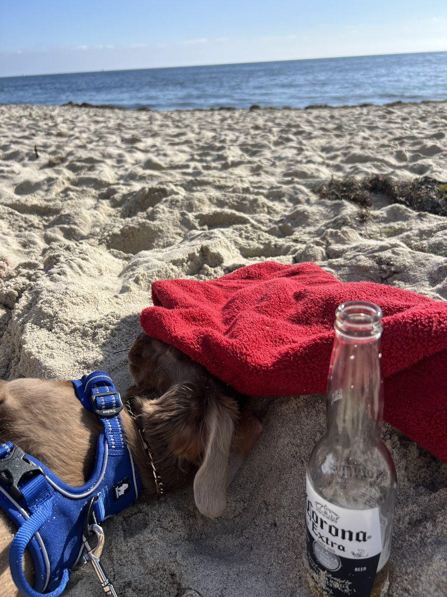 Happy Sunday everyone