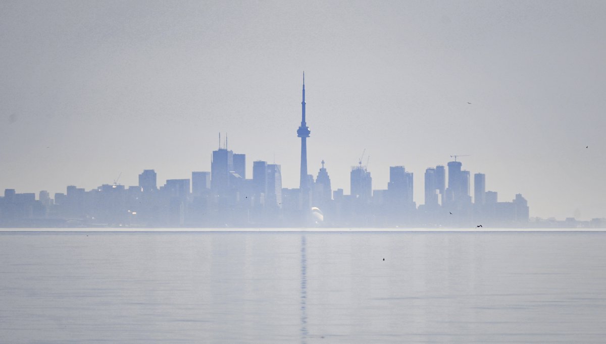 Toronto skyline, taken from Rattray Marsh Conservation Area around 7:30 this morning
#Sundaying #Toronto #LakeOntario #Peace