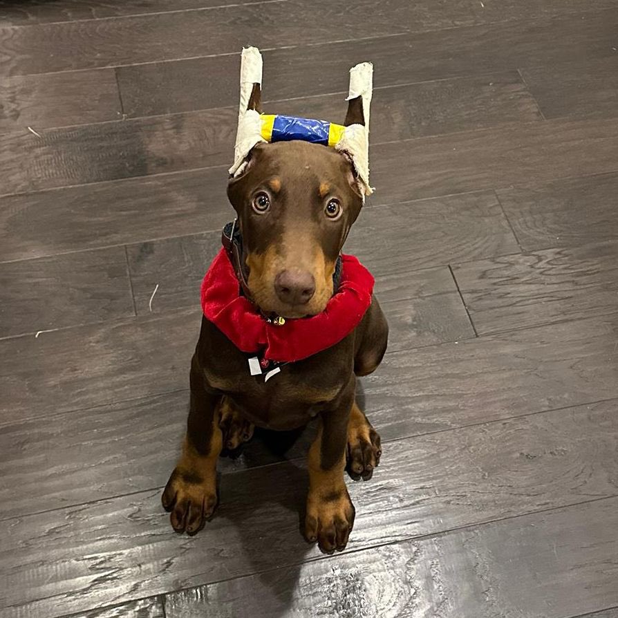 Gail Keller tweet media