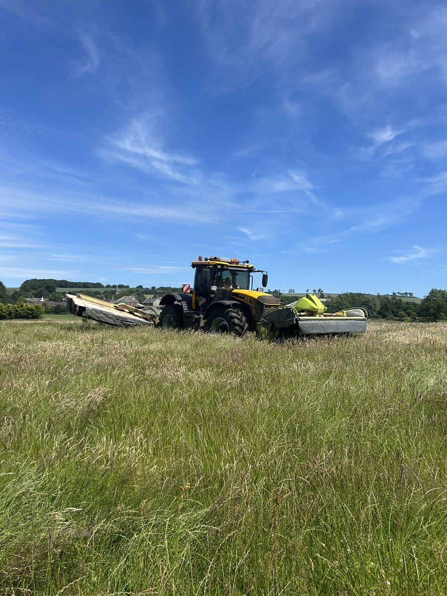 robertlocker4's tweet photo. Mowed. Big kit… https://t.co/a5sVzsi1oh