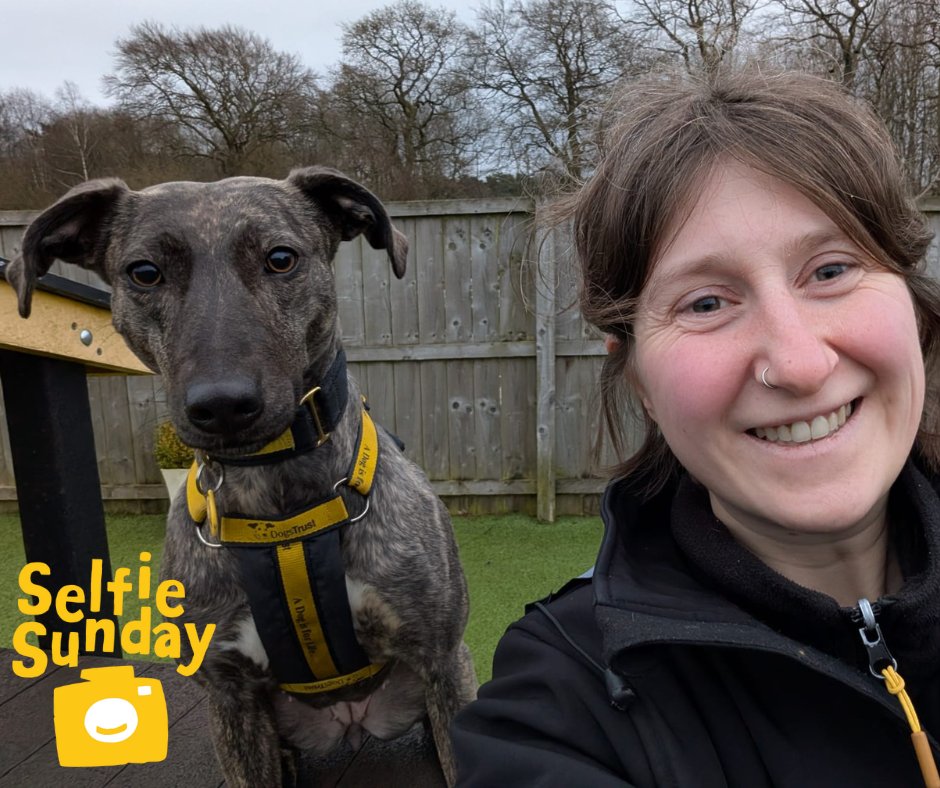 DT_WestCalder's tweet image. Roxy is always selfie ready🤳

Add Roxy to your favourites today👉 bitly.cx/zXs0l

#SelfieSunday
#DogsTrust
#AdoptDontShop