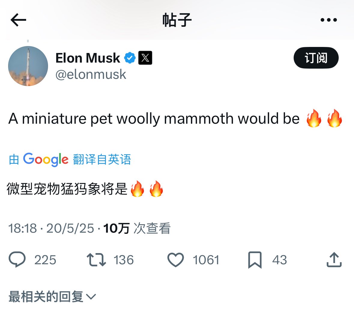 Elizabeth tweet media
