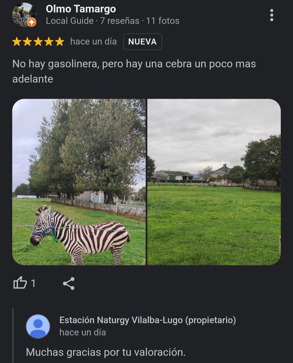 Texo (@toupa_) on Twitter photo 