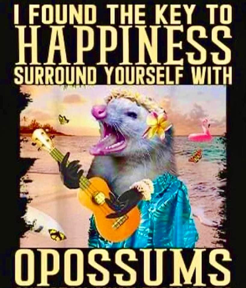 Snaggletooth Screamer tweet media