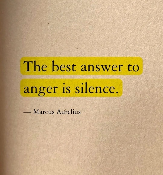 mindfulmaven_'s tweet photo. https://t.co/YSNHP9aetK