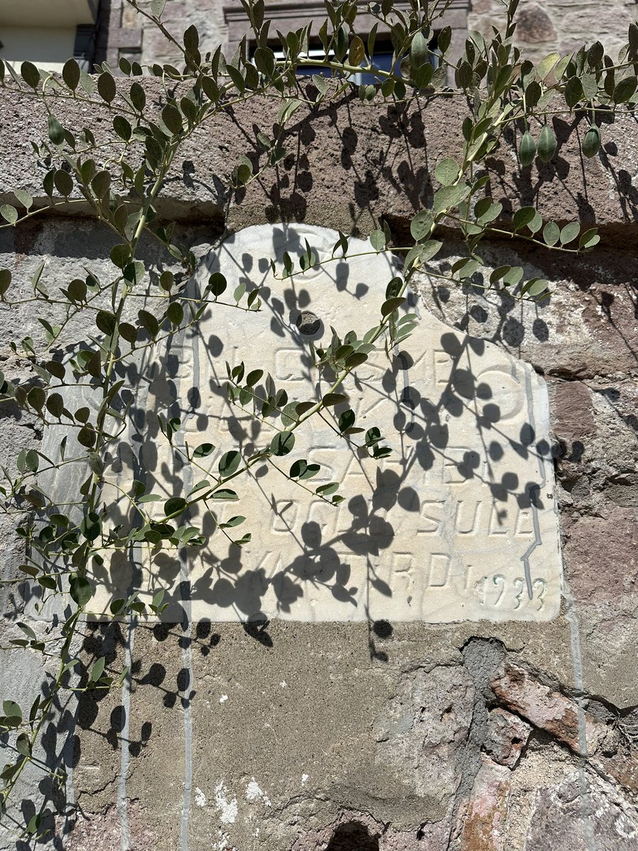 1933 | Ayvalık Küçükköy’de tarihi bir çeşme

#DeriSaadet