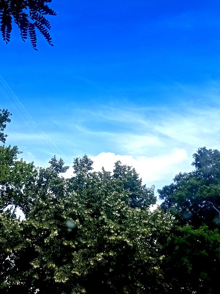 Катерина Галич tweet media