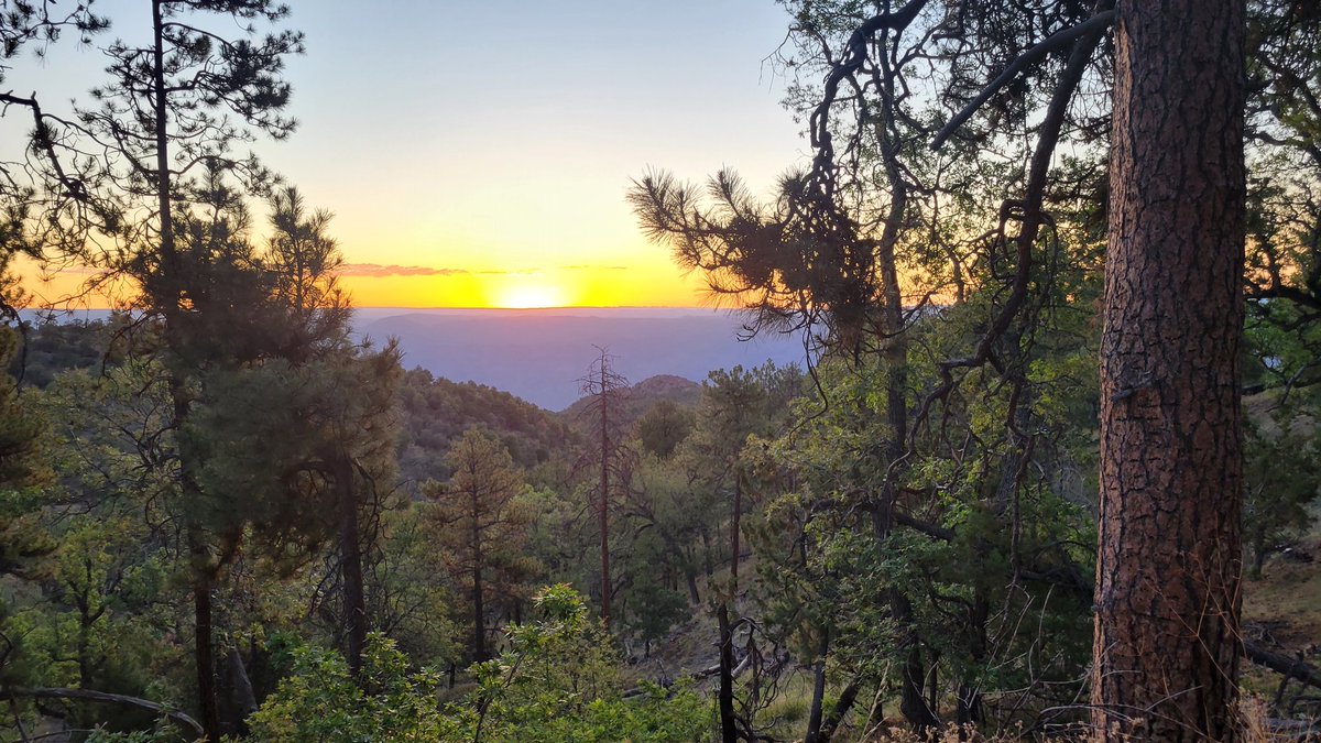 Charlie NJ7V tweet media