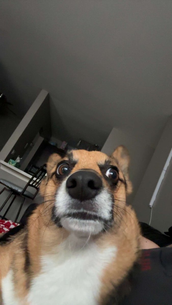 ghostly_cherryy's tweet image. it’s my son’s 2nd birthday!! say happy birthday or else he’ll come steal your socks and hide them 🧦