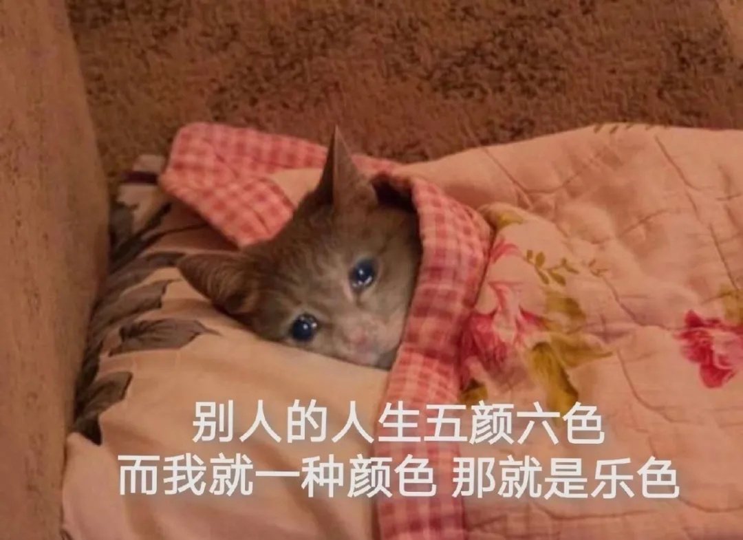 寄掉了，后面有颗粒感了