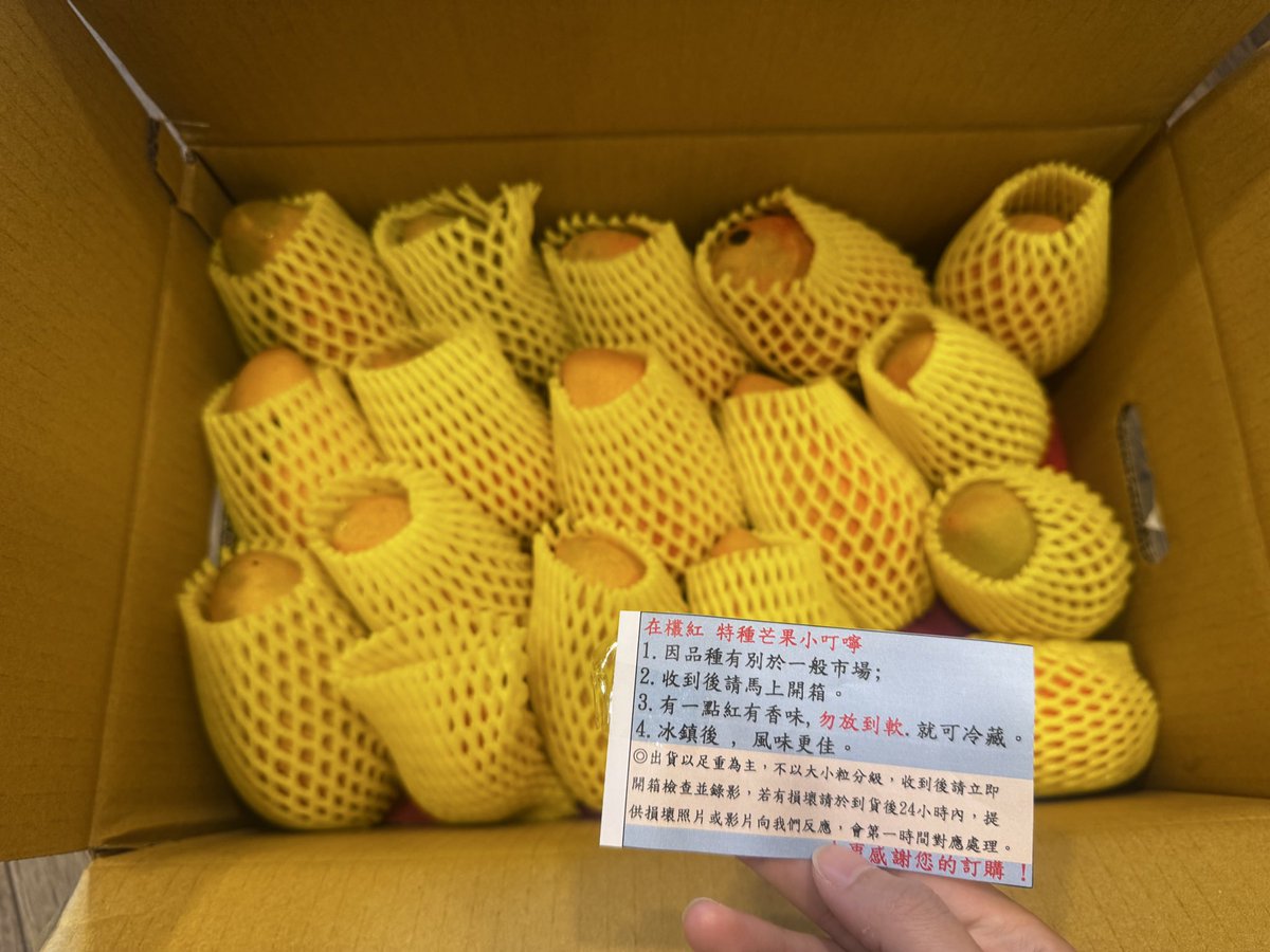 Laura Liu (@laura6liu) on Twitter photo Mango Season 🥭🧡 Mango Season 🥭🧡