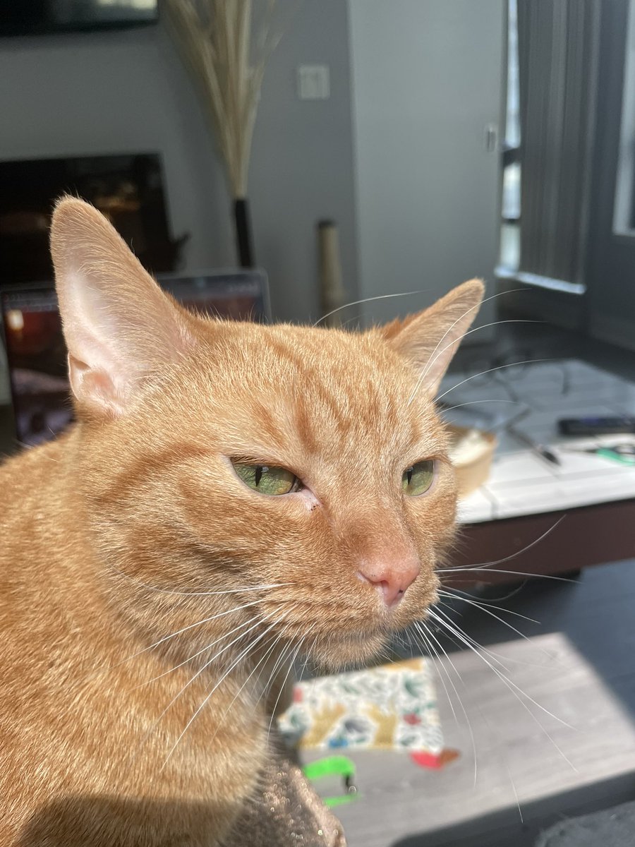 had no idea a lot of u r gay