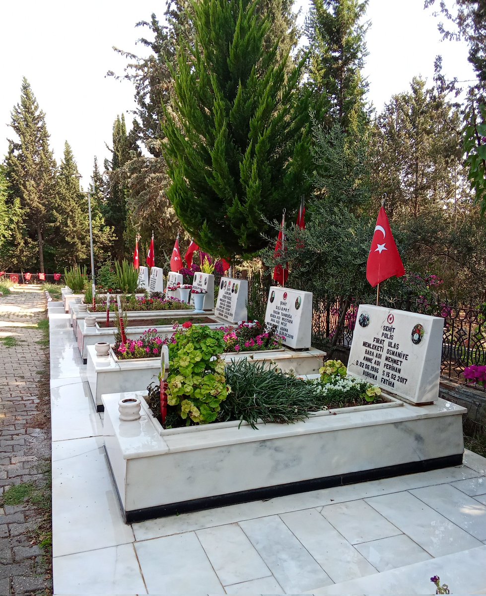 Forza Adana | #EFEBAL tweet media