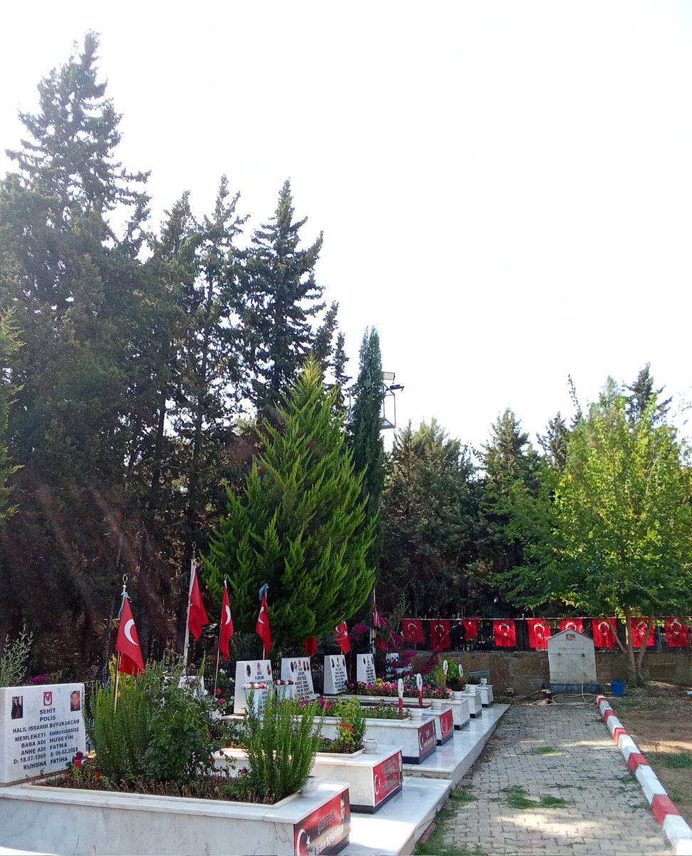 Forza Adana | #EFEBAL tweet media