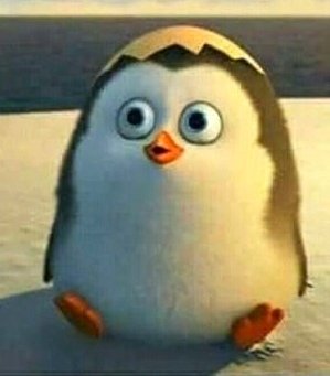 i see no difference... 🥰
#KYUNGSOO #도경수 #엑소 #디오