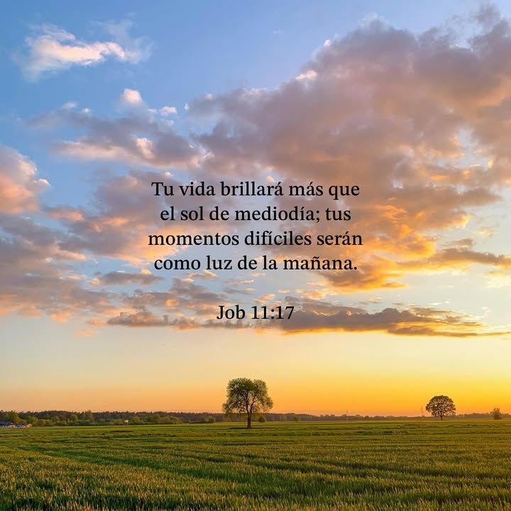 god_s_lover's tweet photo. https://t.co/c639ETG6nl