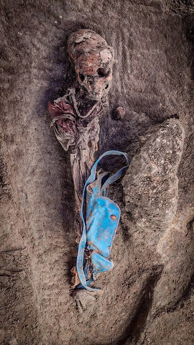 Loshan - ARVLOSHAN tweet media