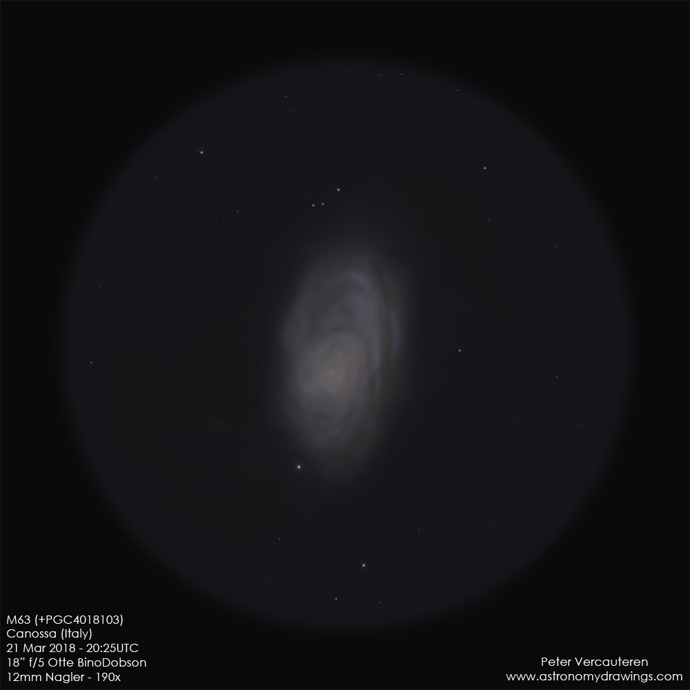 As new #deepskylog sketch of the week, we selected this sketch of the Galaxy M 63 in Canes Venatici by Peter Vercauteren.
More information can be found here:

deepskylog.org/index.php?inde…

#sketch #sketchoftheweek #deepsky #astronomy #deepskydrawing #sketches