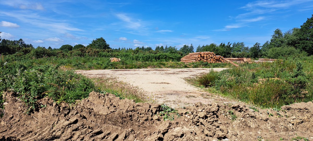 John Barber tweet media