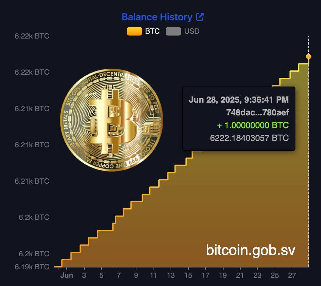 pkcryptoupdates's tweet photo. 🇸🇻 JUST IN:  El Salvador has purchased another #Bitcoin for its strategic #reserve , continuing its national accumulation strategy under the Bitcoin Standard.
#CryptoAlert #cryptoupdatespakistan https://t.co/3CCq3Hp7IR