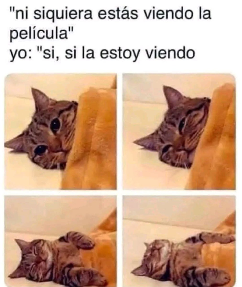 Yo, anoche viendo una película con mi hija; jajajajajaja...! 😂😂😂😂😂😂

#FelizDomingo