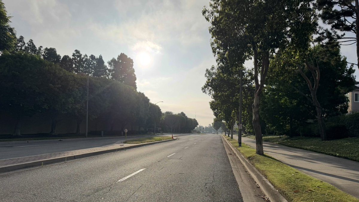 さっき防衛戦終わりでコーヒー買いに歩いてたら何にもない道端で盛大に転んで、でも犬連れたおじさんは見てなくて目が合って「モーニン！」って言われて「モーニン◎」って返したけど犬はめっちゃ警戒してた笑
コーヒー買ったあとじゃなくてよかった