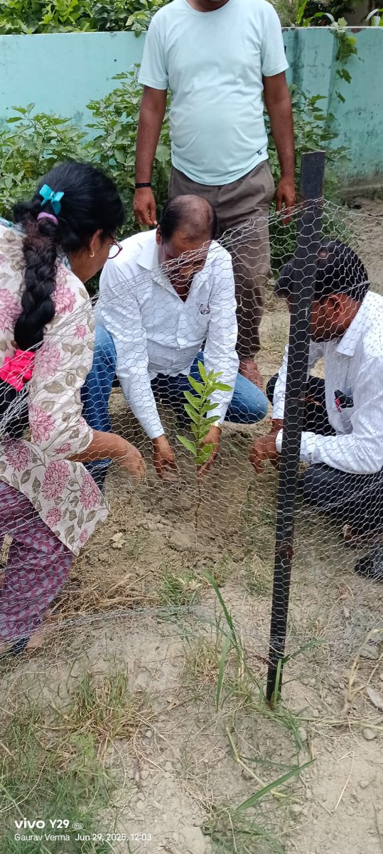 AshuMisra2's tweet photo. विधानसभा श्रीनगरके मंडल देवकली नाथ में शक्ति केंद्र कोरिया चमरू के बूथ नंबर 106 पर डॉक्टर श्यामा प्रसाद मुखर्जी जी के चित्र पर पुष्पार्चन करने के बाद प्राथमिक विद्यालय में एक पेड़ मां के नाम रोपित  किया
मेरे साथ बूथ अध्यक्ष धीरेन्द्र कुमार मंडल अध्यक्ष  सहित सभी सदस्य उपस्थित रहे https://t.co/1FVv9SV6rx