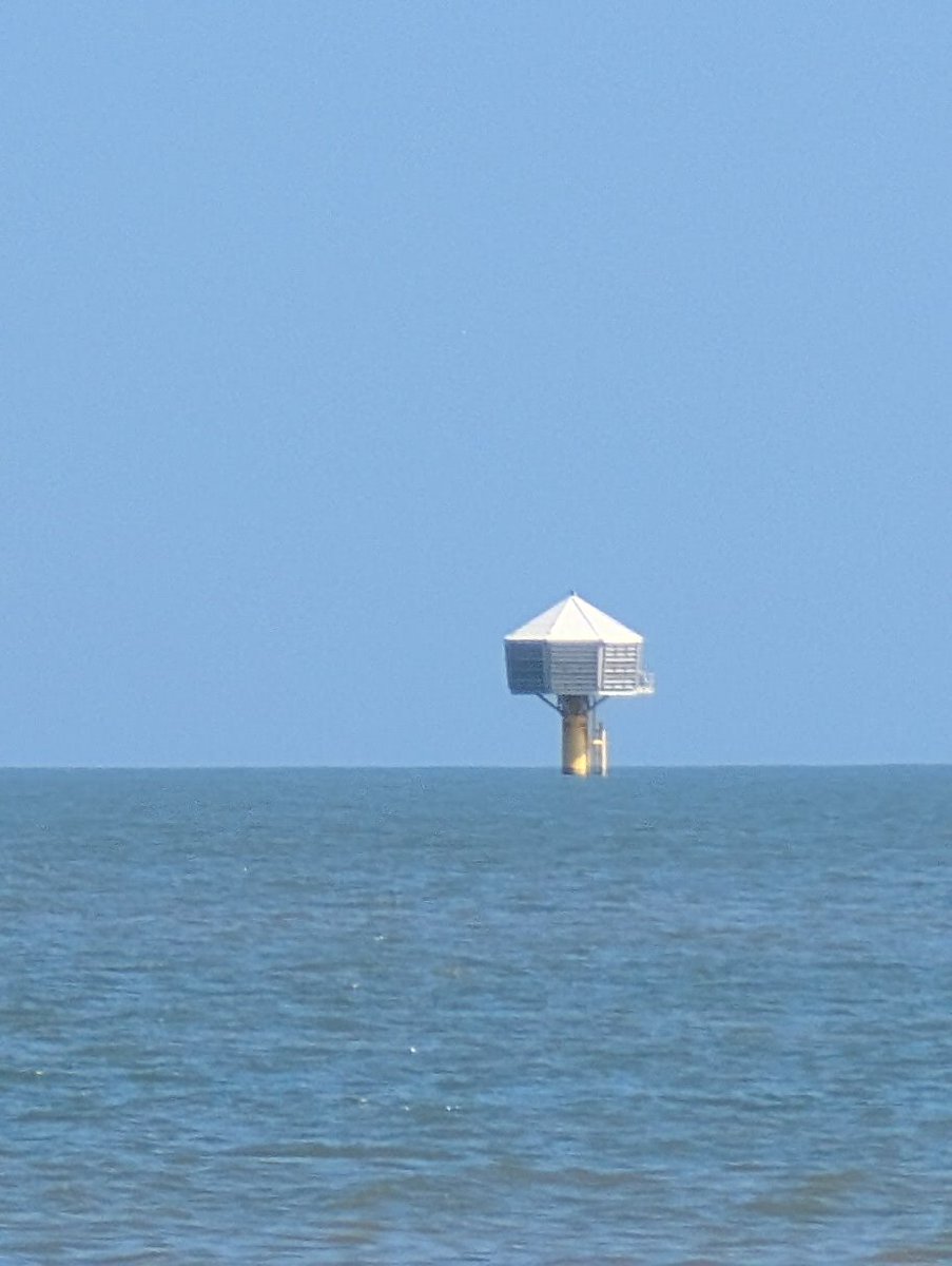 Momus Najmi tweet media