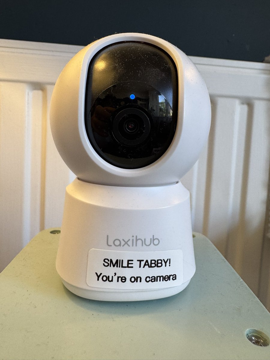 Bought a label printer and having way too much fun with it