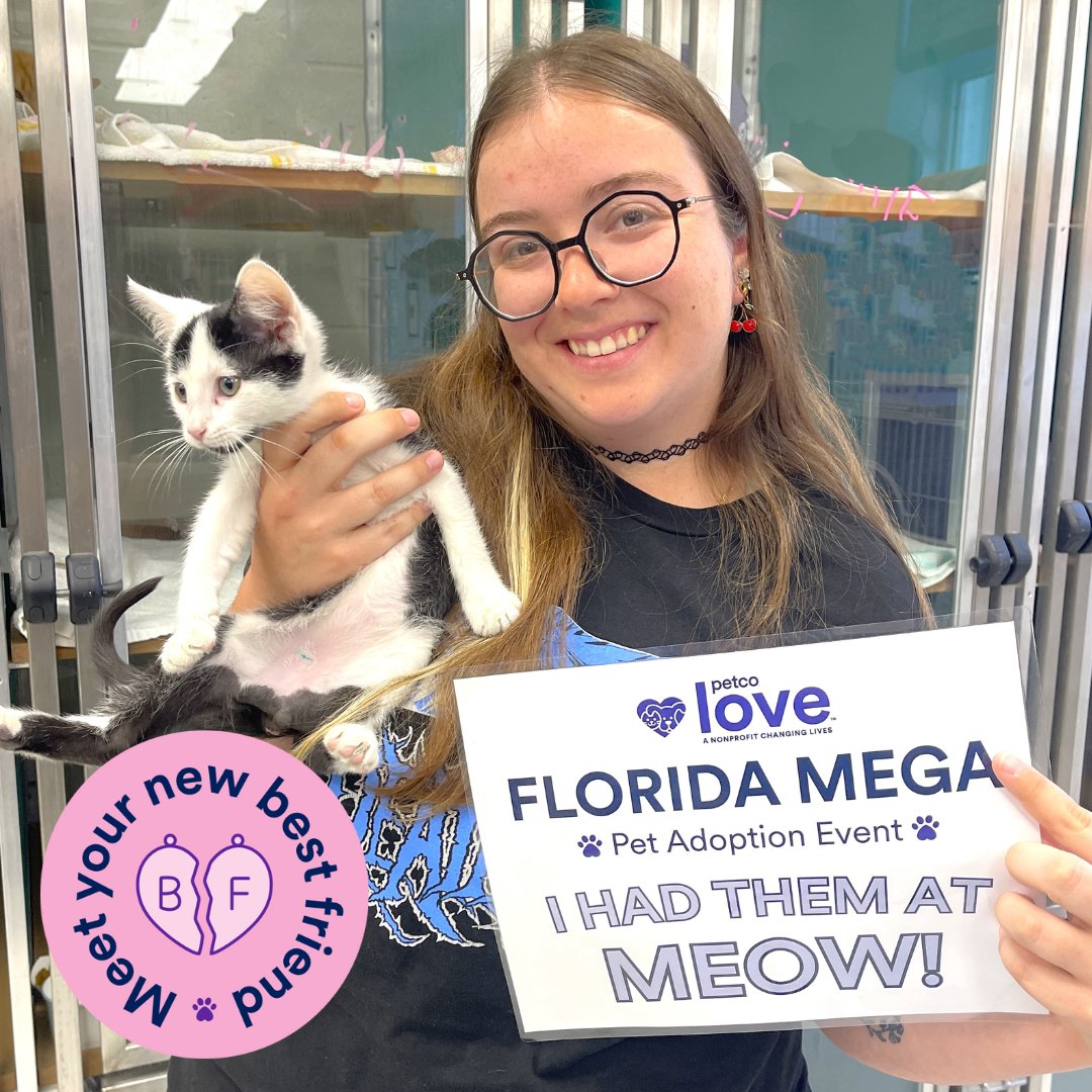 CollierCountyDAS tweet media