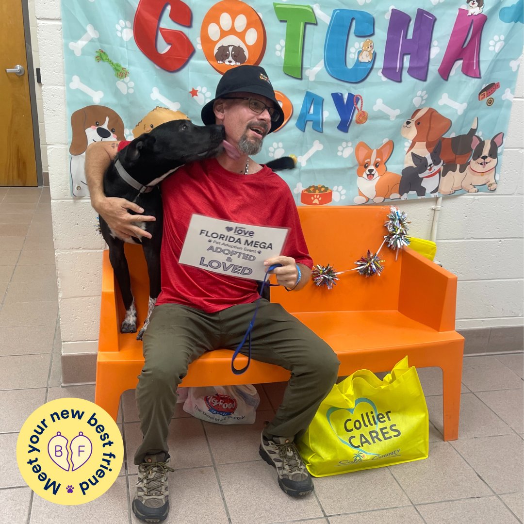 CollierCountyDAS tweet media