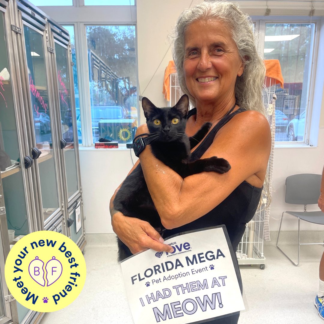 CollierCountyDAS tweet media