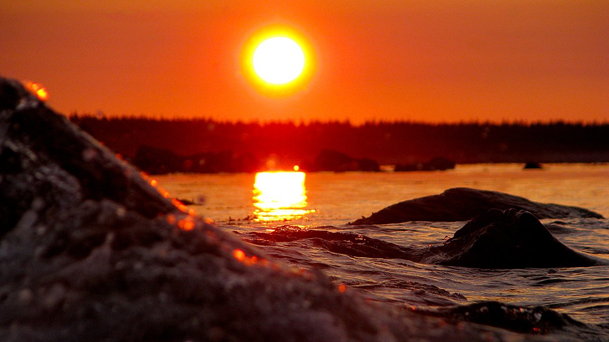 KungFu_Grid's tweet photo. Port bickerton sunrise

https://t.co/fYRtFCquWs

#adventure #capebreton #capebretonisland #capebretonphography #ExploreCB #tourismcapebreton #explore #explorecanada #photography #nature #naturephotography #landscapes #landscapephotography #eastcoast #outdoors #canon #canoncanada https://t.co/DRiLiAkMjP