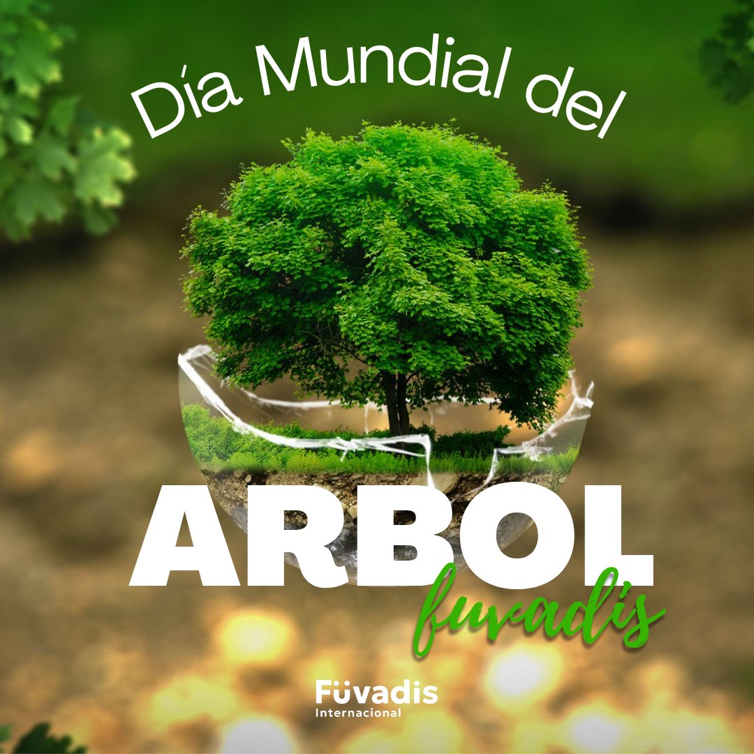 Hoy celebramos el Día Mundial del Árbol recordando la importancia de cuidar y proteger nuestros bosques. Cada árbol que sembramos es una promesa de vida, aire puro y futuro para todos. ¡Sigamos sembrando conciencia! 💚🌱 #DiaMundialdelArbol