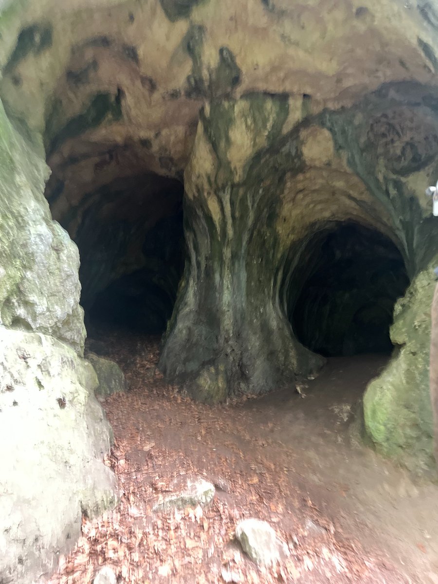 SpeleoJacek's tweet photo. 84 caves in 6 weeks from easy walking through vertical squeezes to crawling in bags. All between teaching, supervising graduates, admin, and PI duties. Quite a logistics🥵 Today I finished #fieldwork for #antropopression on #cave in #Nature2000 areas of the Polish Jura. I’m tired https://t.co/ZPGCH4SJuK