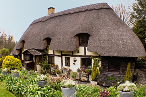 Cruise the #BasingstokeCanal to the charming Old Thatch Cottage gardens!
🗓️ Sun 6 July | 1–5:30PM
🎟️ £14 | Only 10 seats left!
🌿 Garden visit (NGS, £5 entry not incl.)
📍Departs from Odiham on the John Pinkerton
🔗 Book now: tinyurl.com/2s43npav
#JohnPinkerton #GardenVisit