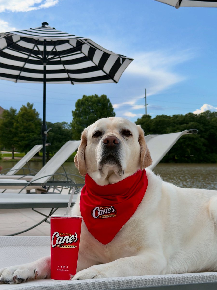 Summer Sweet Tea Time