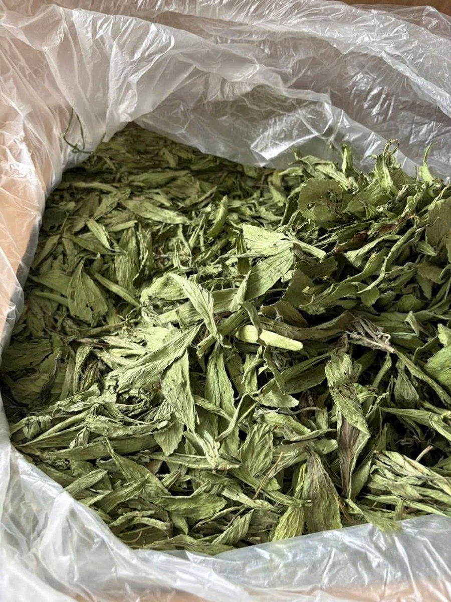 DecorHtd's tweet photo. *Stevia rebaudiana*, is a herbaceous plant with naturally sweet leaves, used as a zero-calorie sweetener, aiding in blood sugar control. https://t.co/XIo674EAy0