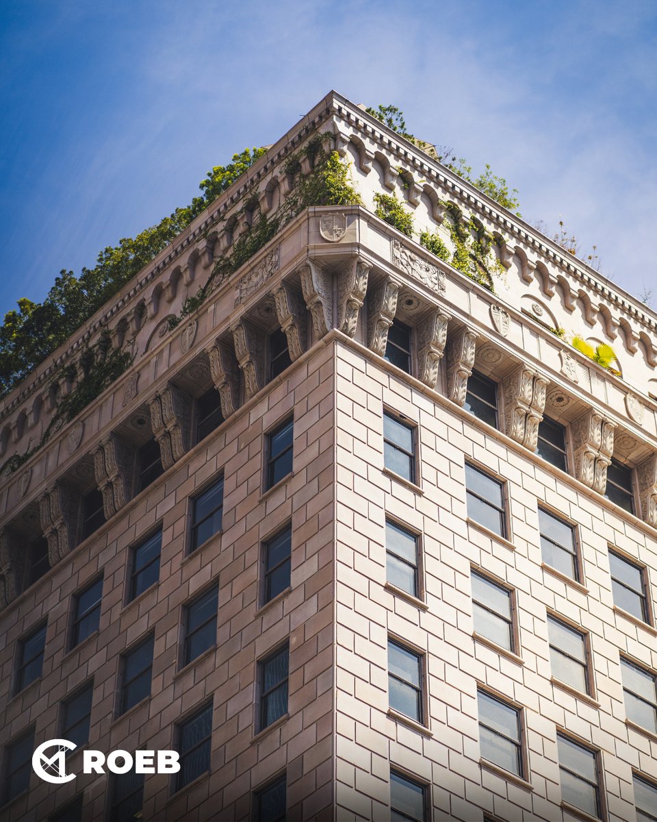 cmroeb's tweet image. 🌴 City of dreams, sunshine, and way too much traffic. 🚗☀️
 🌴 Explore Venice Beyond the Boardwalk — 💡 Pro Tip: Stroll Through the Venice Canals! This hidden gem feels like a slice of Europe in the heart of LA. 
#VeniceCanals #HiddenLA #LocalSpots #ScenicWalk