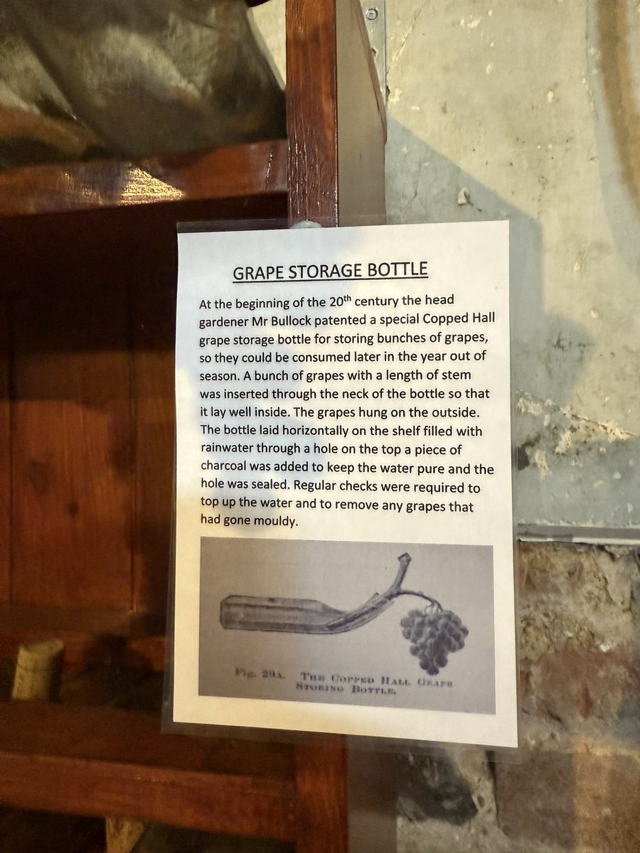 DollysGarden's tweet photo. I’m always interested in old relics from the past, especially in relation to horticulture/gardening.  This was interesting and was patented to Copped Hall. 🍇 

#GardenersWorld #Horticulture #GardenHistory @CoppedHallTrust #CoppedHall  #Gardening https://t.co/jAcNyXL1E3