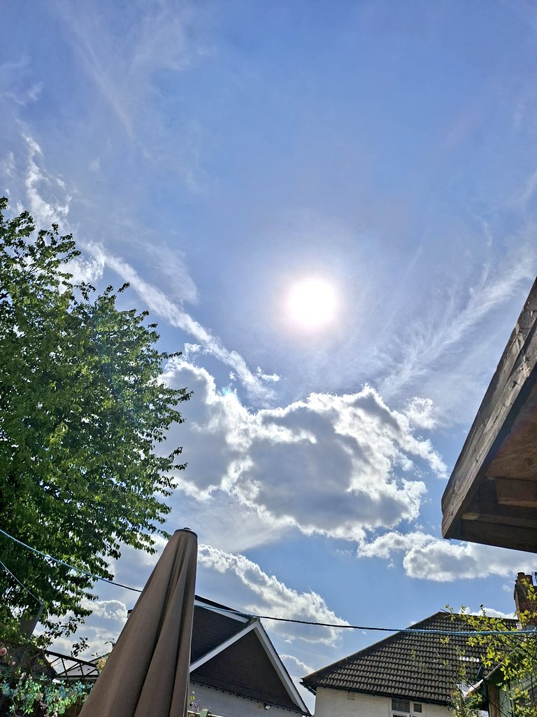 CeeCeeJade🌙 tweet media