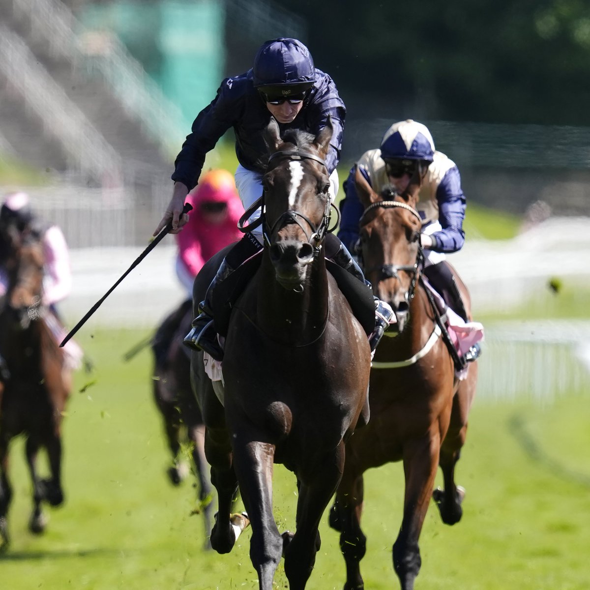 At The Races tweet media