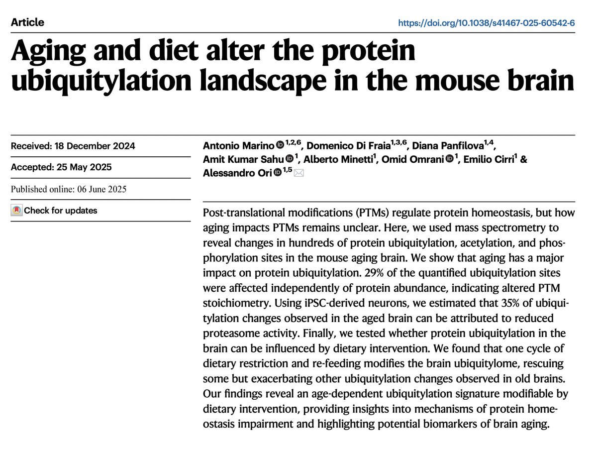 Aging has a major impact on protein ubiquitylation.

This is mediated in part through reduced proteasome activity and can be modulated by diet.