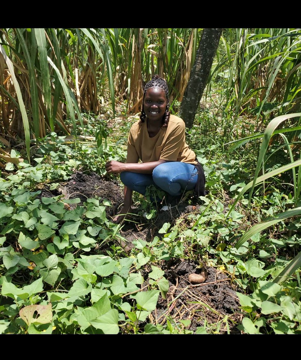 AFRIWISEFDN's tweet image. Today, planting trees is more than just an act, it's a symbol of hope, resilience, and climate action. 🌳🌍
Every seed we plant brings us closer to a greener, more sustainable future.
#TreePlanting
#ClimateAction
#Sustainability
#WomenInAg
#GreenAfrica
#AfriWISE